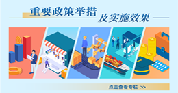 重要政策举措及实施效果