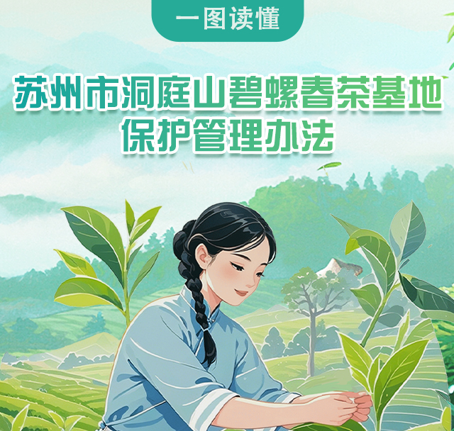 图解：《苏州市洞庭山碧螺春茶基地保护管理办法》