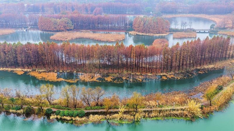 雨中虎丘湿地公园 尽显江南水乡柔美