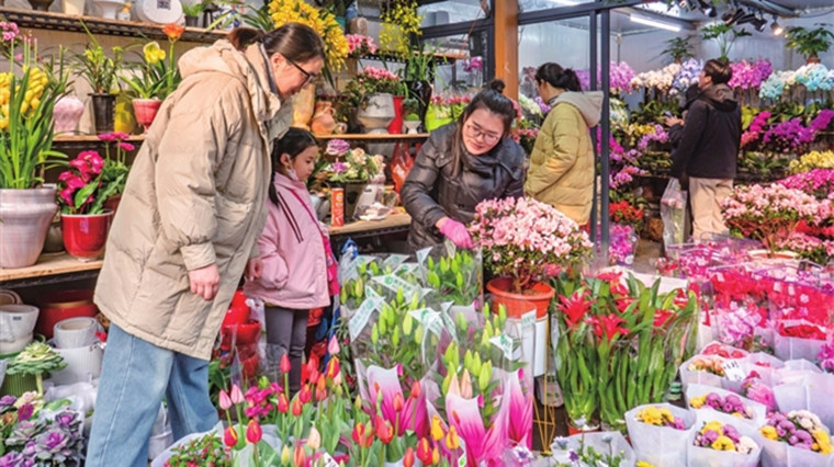 皮市街花鸟市场春意浓 鲜花俏销引客来