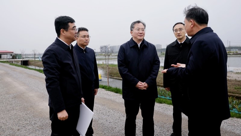 范波专题调研太湖保护工作