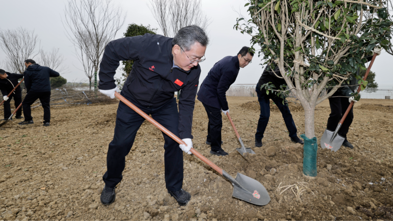 苏州市四套班子领导参加义务植树活动