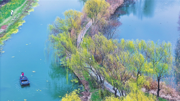 虎丘湿地公园的早春粉彩画