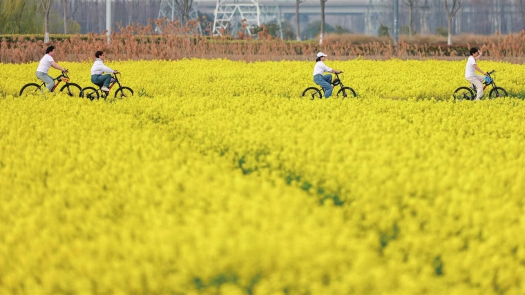 昆山市委社会工作部整合资源搭起暖心“港湾”