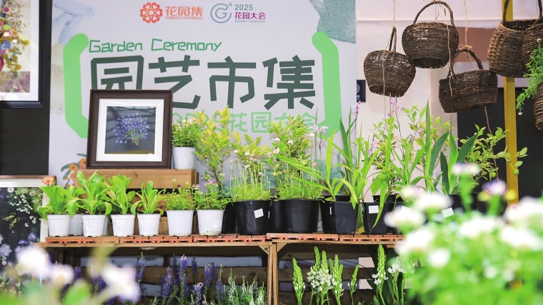 这个周末，一起去沉浸花香