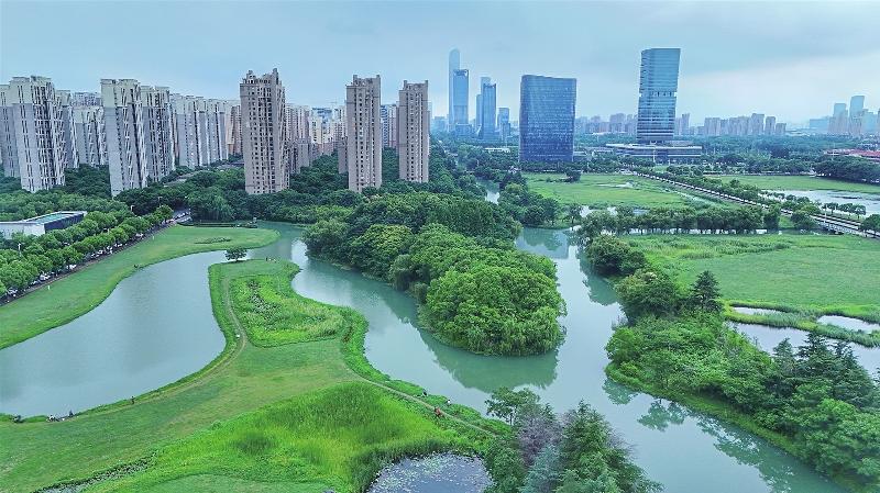 钟南街以西的大片绿色湿地青翠欲滴