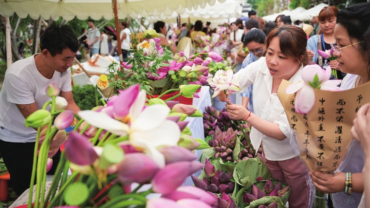 苏州桃花坞荷花市集火爆“出圈”