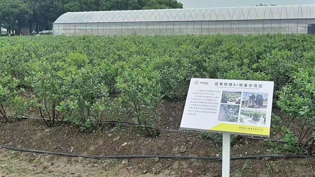 农业企业的AI装备示范区