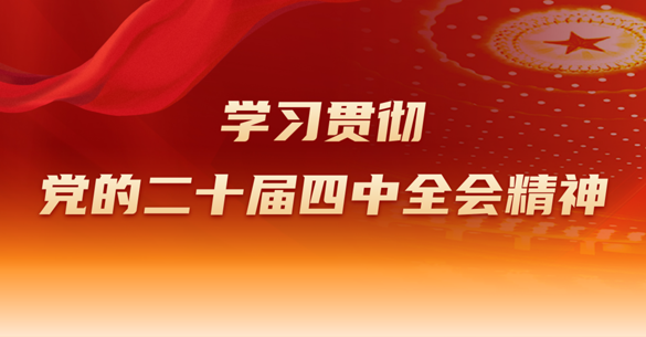 学习贯彻党的二十届四中全会精神
